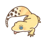 レオくん